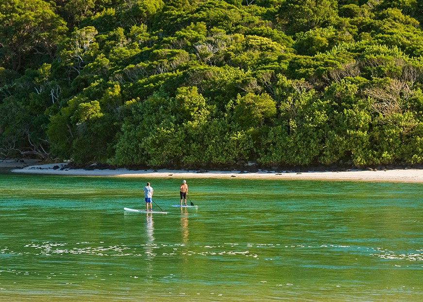 Paddleboarders on the creek